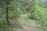 6269 Dutch Creek Rd - Photo 31