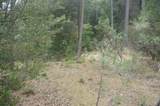 6269 Dutch Creek Rd - Photo 4