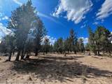 000 Goose Loop - Photo 1