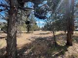 000 Goose Loop - Photo 12