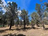 000 Goose Loop - Photo 13