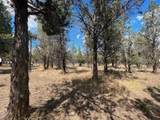 000 Goose Loop - Photo 14