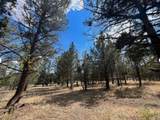 000 Goose Loop - Photo 2