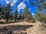 000 Goose Loop - Photo 3