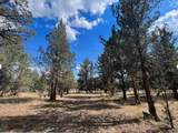 000 Goose Loop - Photo 5