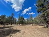 000 Goose Loop - Photo 9