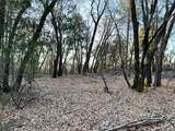 160 Acres Donkey Mine And Madison - Photo 13
