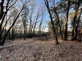 160 Acres Donkey Mine And Madison - Photo 17