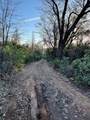 160 Acres Donkey Mine And Madison - Photo 19