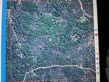 160 Acres Donkey Mine And Madison - Photo 2