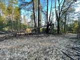 160 Acres Donkey Mine And Madison - Photo 20