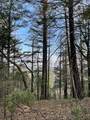 160 Acres Donkey Mine And Madison - Photo 24