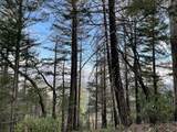 160 Acres Donkey Mine And Madison - Photo 25