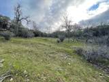 160 Acres Donkey Mine And Madison - Photo 29