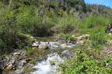 635 Acres French Gulch Road - Photo 17