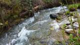 635 Acres French Gulch Road - Photo 26