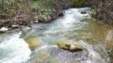 635 Acres French Gulch Road - Photo 27