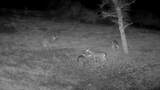 635 Acres French Gulch Road - Photo 28