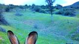 635 Acres French Gulch Road - Photo 29