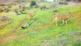 635 Acres French Gulch Road - Photo 32