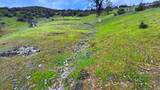 635 Acres French Gulch Road - Photo 39