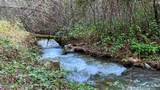 635 Acres French Gulch Road - Photo 40