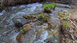 635 Acres French Gulch Road - Photo 7