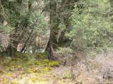 000 Phillips Rd - Photo 10
