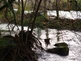 000 Phillips Rd - Photo 15
