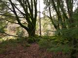000 Phillips Rd - Photo 16