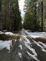 34656 Side Bottom Road - Photo 42