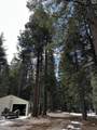 34656 Side Bottom Road - Photo 44