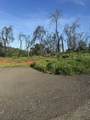 13961 Shangrila Dr - Photo 1