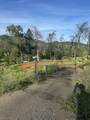 13961 Shangrila Dr - Photo 2