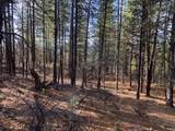 000 Highway 89 - Photo 4