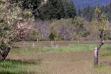 1040 Mullane Trail - Photo 48
