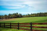 14388 Fern Road - Photo 24