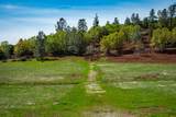 14388 Fern Road - Photo 40