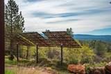 14388 Fern Road - Photo 43