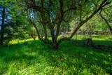 51 Millview Drive - Photo 34