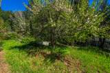 51 Millview Drive - Photo 5