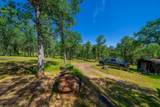 13810 Schole Dr - Photo 47