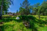 13810 Schole Dr - Photo 49