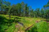 13810 Schole Dr - Photo 50