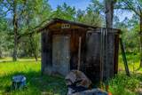 13810 Schole Dr - Photo 51