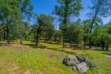 13810 Schole Dr - Photo 55