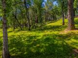 13810 Schole Dr - Photo 81