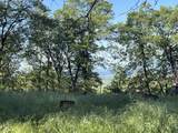 14935 Oak Run Road - Photo 46