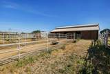 10890 Carey Lane - Photo 54