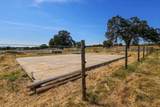 10890 Carey Lane - Photo 61